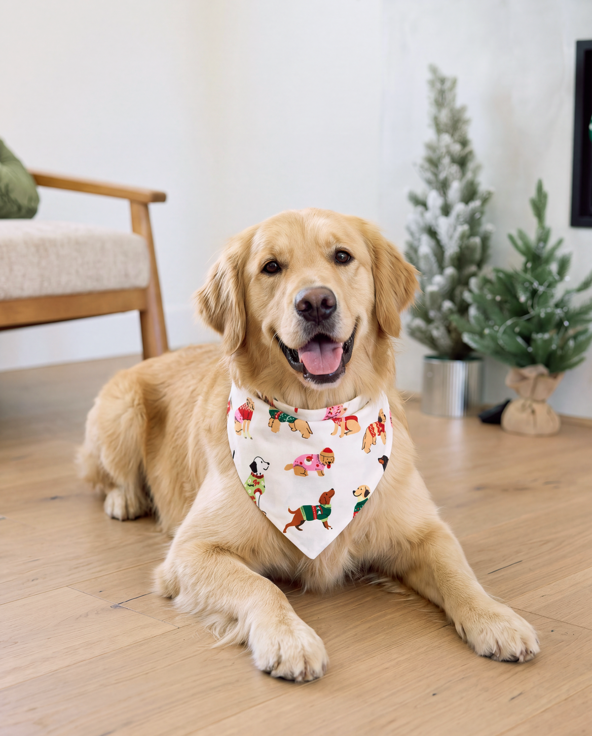 PatPat Family Matching Christmas Pajamas Festive Dog Print Cream